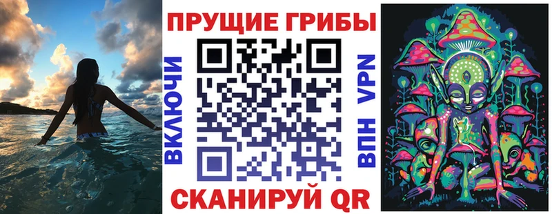 Псилоцибиновые грибы GOLDEN TEACHER  Купить где  Шуя 