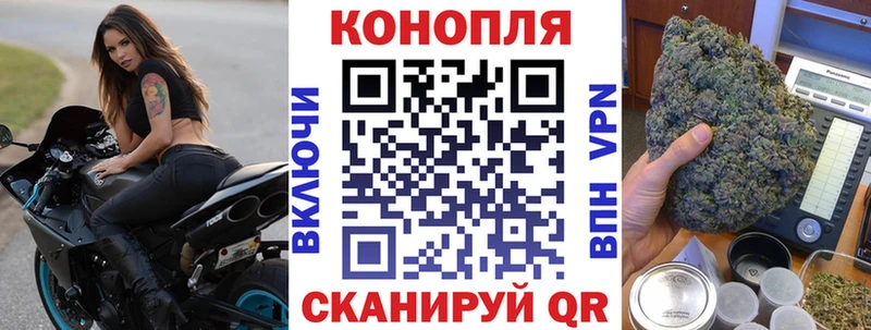Купить Шуя Бошки марихуана Ganja